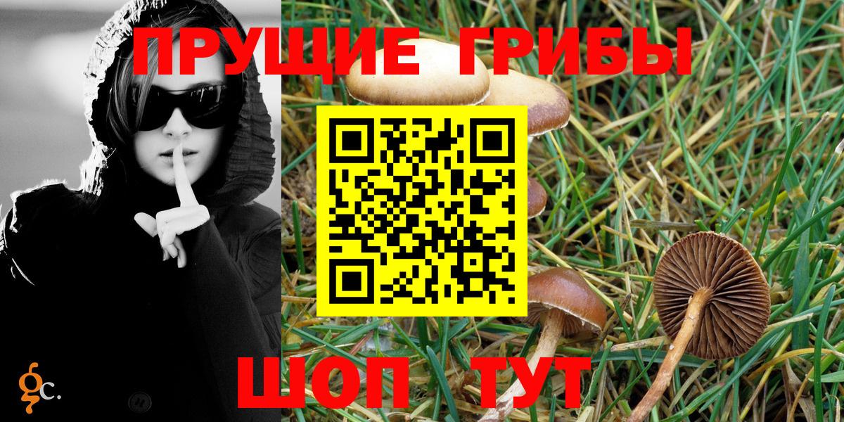 Псилоцибиновые грибы Magic Shrooms  Вход с VPN  Псилоцибиновые грибы мицелий  Черкесск 